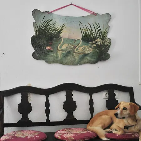 Дом отдыха Portela House